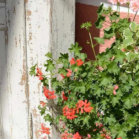 Otel Drei Tannen Tannheim