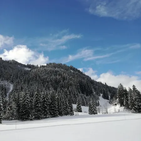 Otel Drei Tannen Tannheim