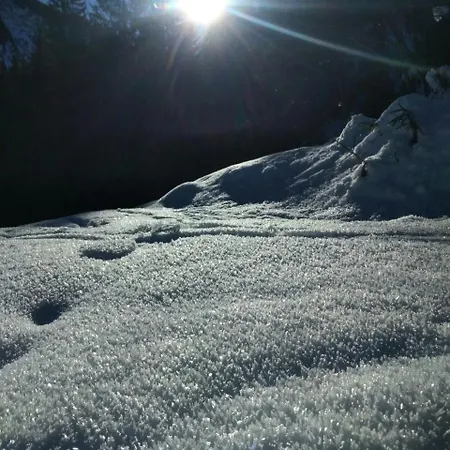 Drei Tannen Tannheim