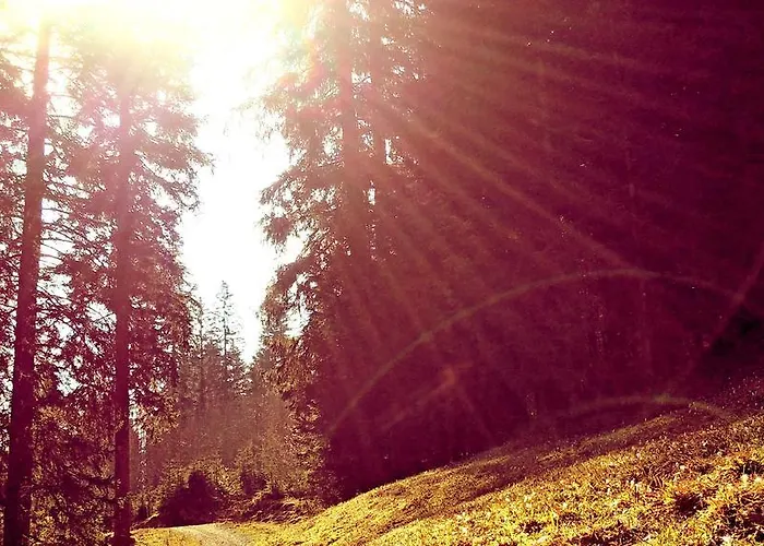 Drei Tannen Hotel 3*