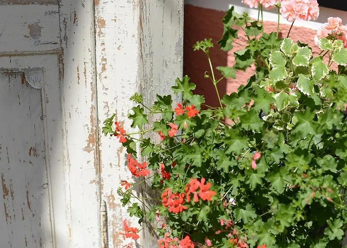 Hotel Drei Tannen Tannheim