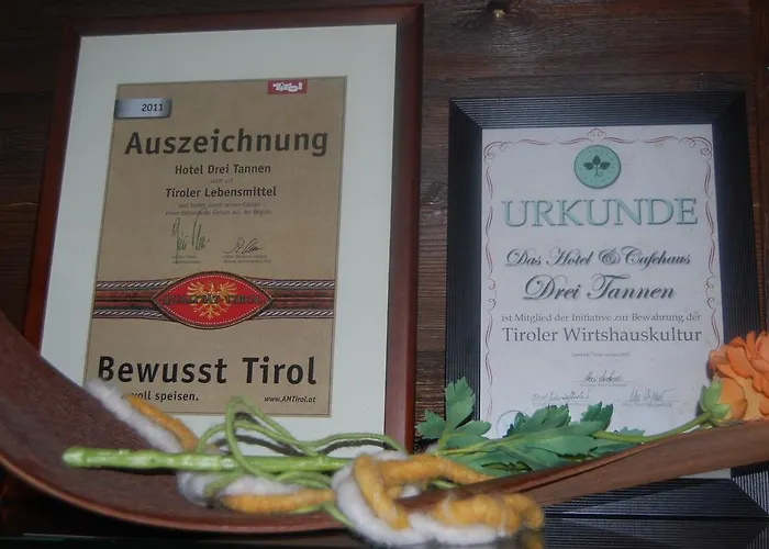 Hotel Drei Tannen 3*