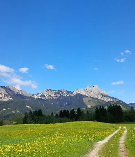 Hotel Drei Tannen 3*