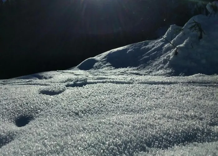 Drei Tannen Tannheim