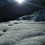 Drei Tannen Tannheim